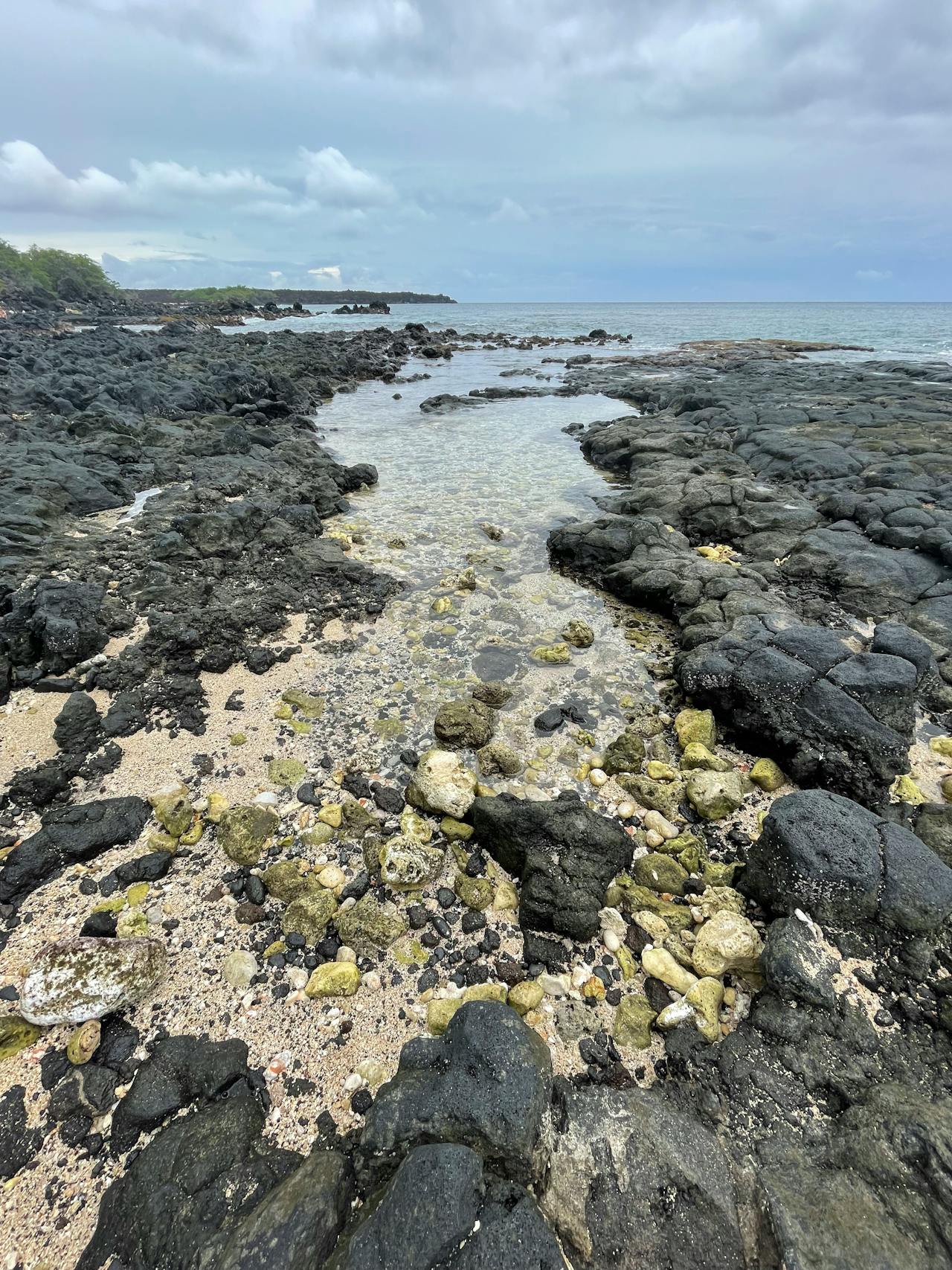 May contain a rocky shoreline with tide pools and the ocean.
