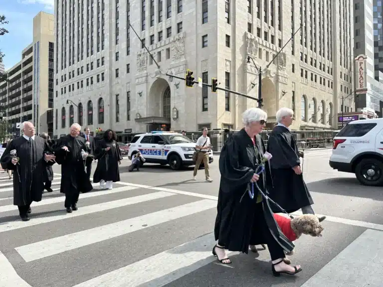 May contain a person walking a dog on a leash, while wearing a robe.