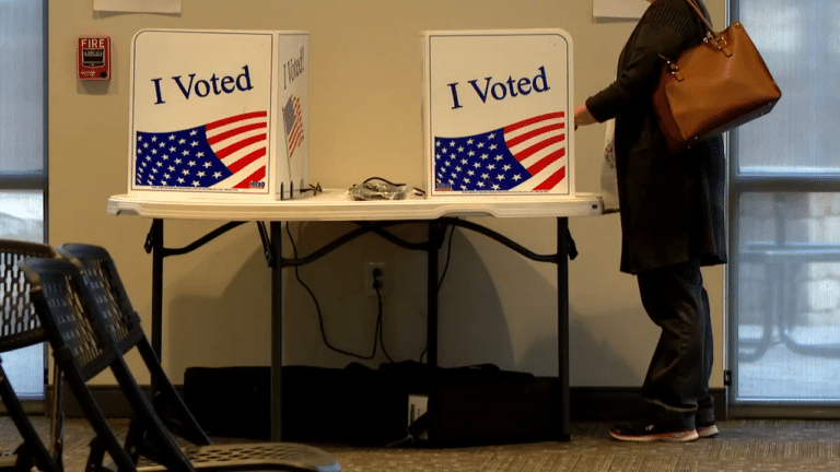 May contain one person at a voting booth.