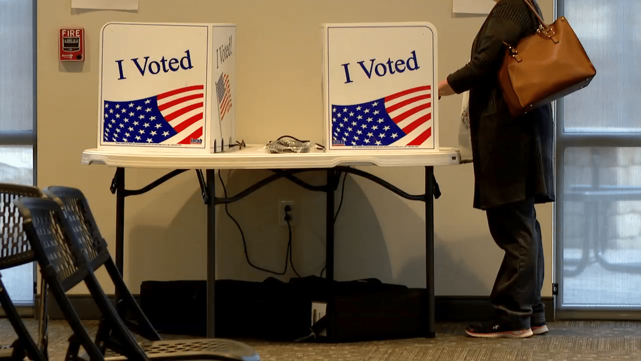 May contain one person at a voting booth.