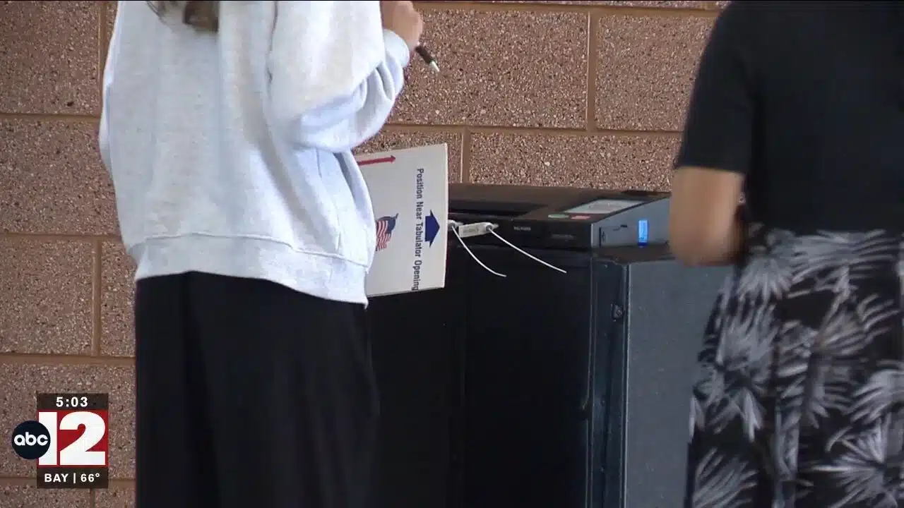 May contain two people at a ballot tabulator.